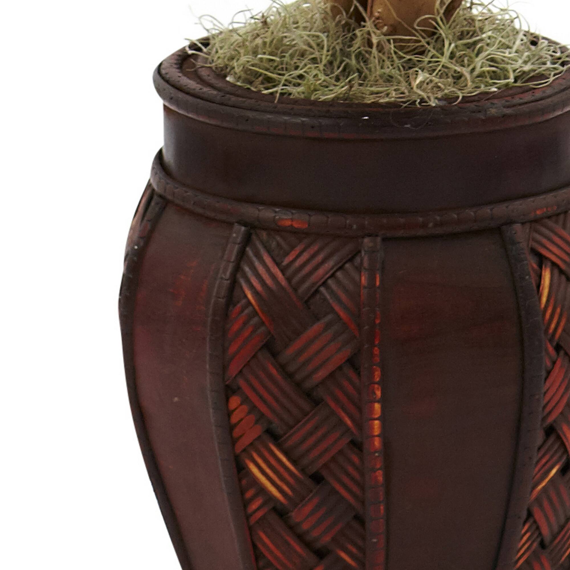 3.5ft. Ficus Tree in Decorative Planter